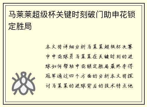 马莱莱超级杯关键时刻破门助申花锁定胜局