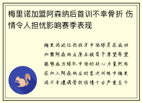 梅里诺加盟阿森纳后首训不幸骨折 伤情令人担忧影响赛季表现